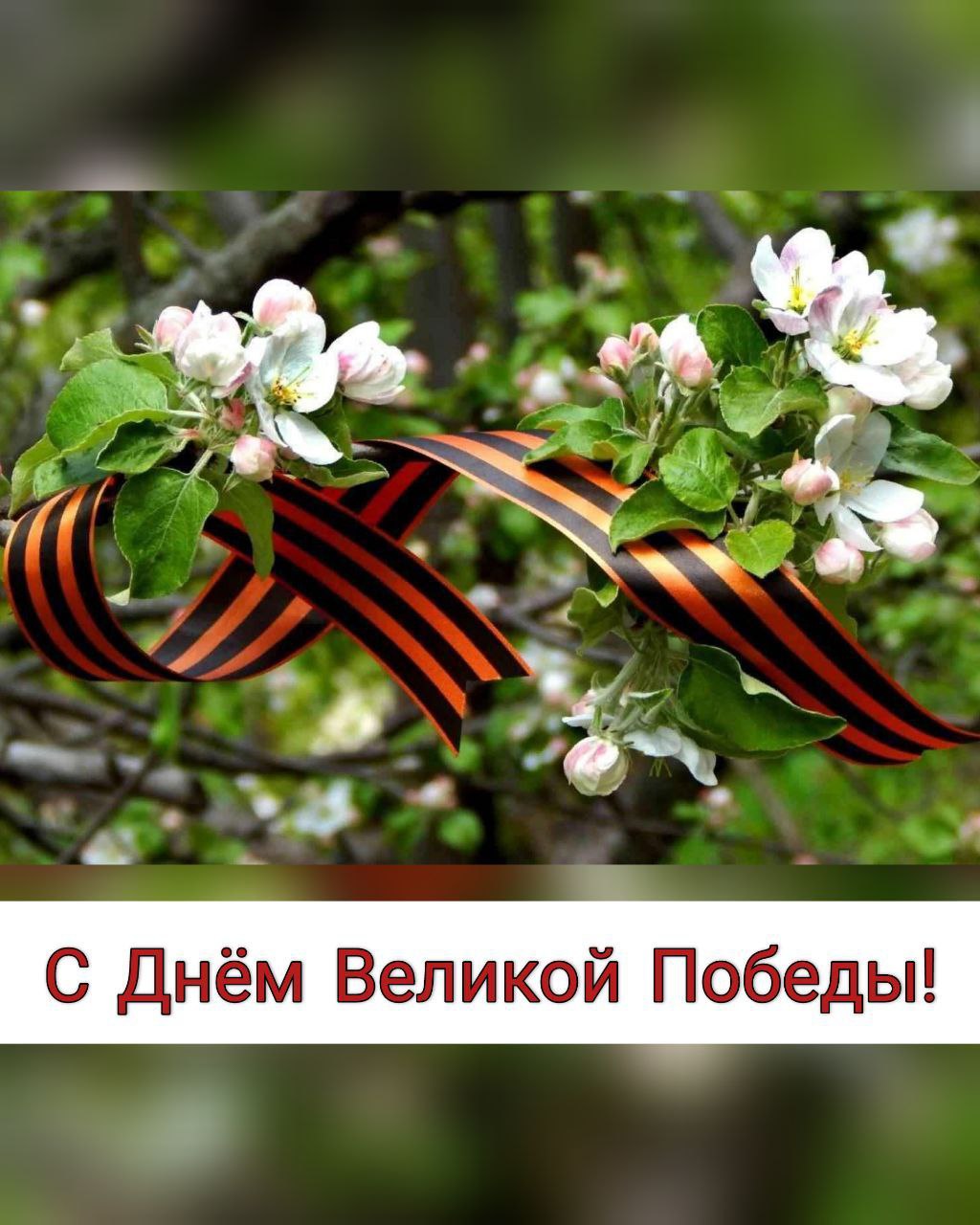 С 80-летием Великой Победы!